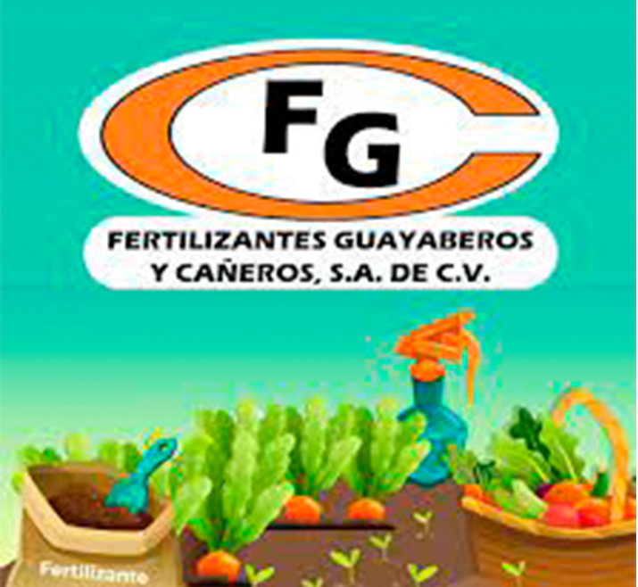 pacifex cliente asegurado de carga