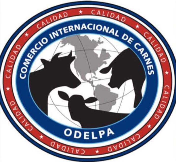 pacifex cliente asegurado de carga