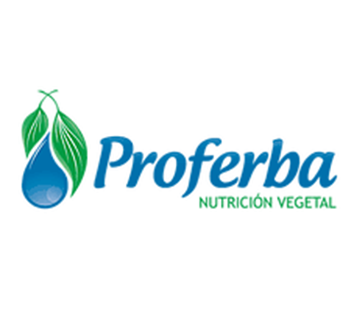 odelpa cliente asegurado de carga